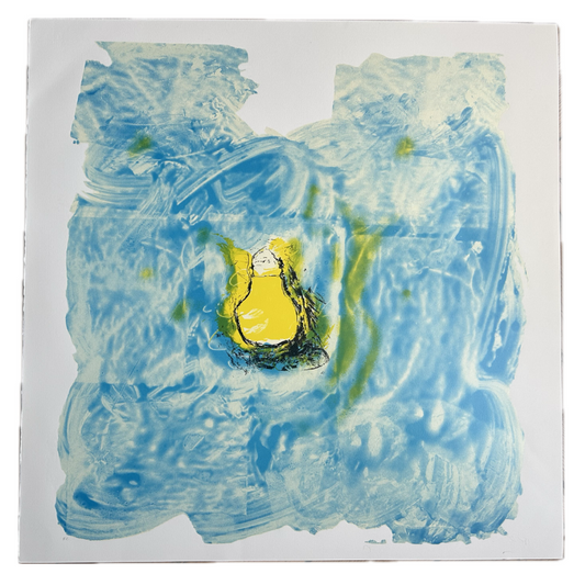 mario schifano - IN LUCE