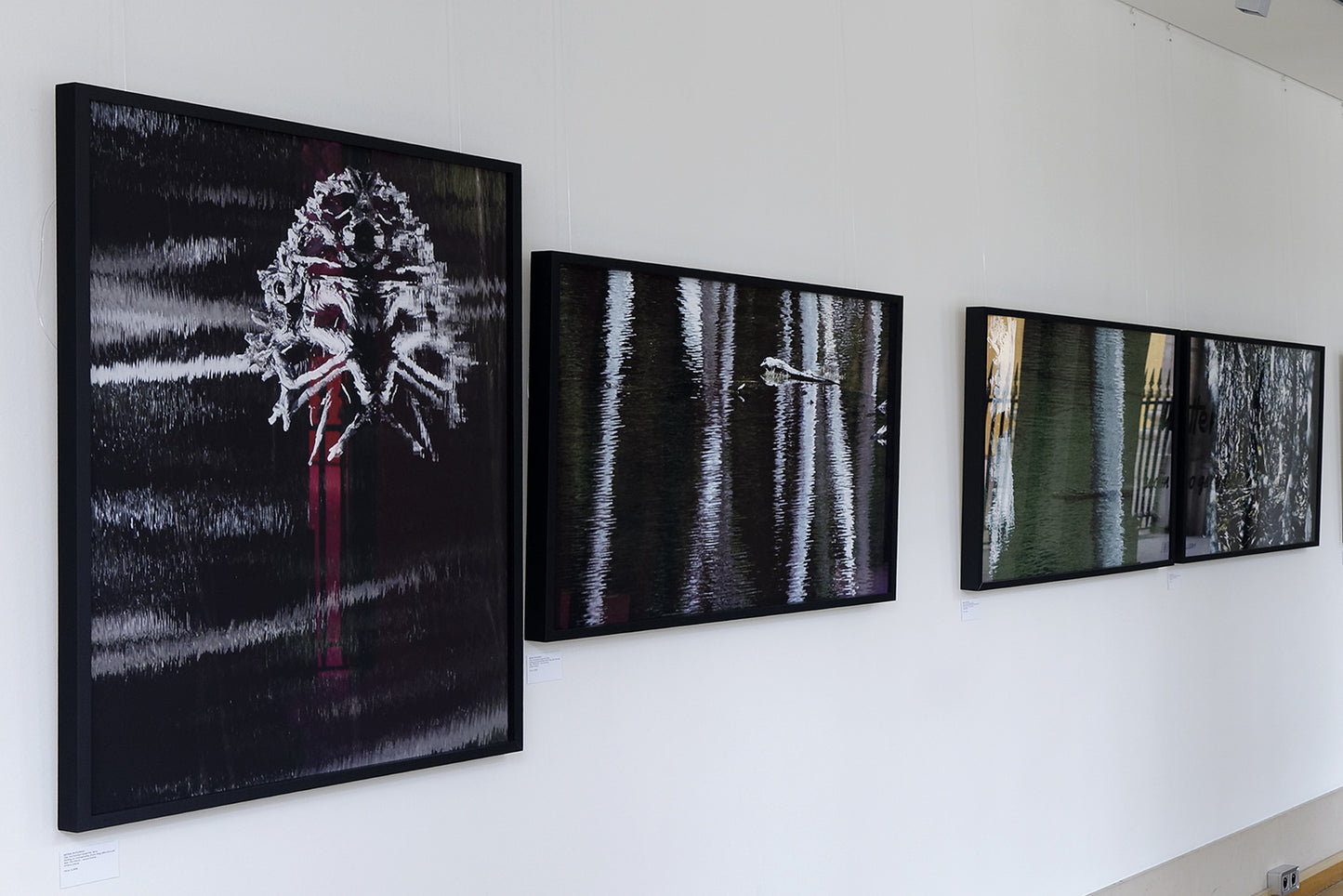 bruna rotunno - enchanted forest #1